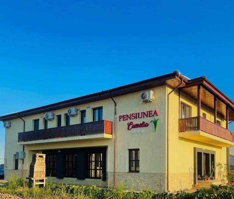 PENSIUNEA CAMELIA - B&B Baia