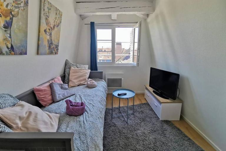 ** appartement cathédrale Strasbourg centre** - B&B Strasbourg