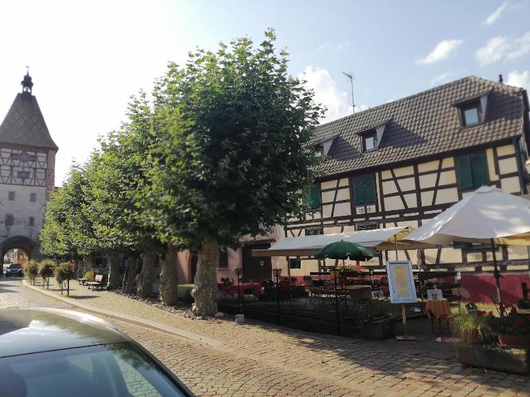 Gites Aux Fines Bulles d'Alsace - Ferienwohnung Bergheim