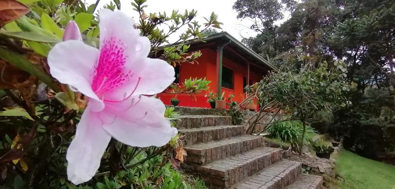 Nuestro Bosque I - B&B Tena