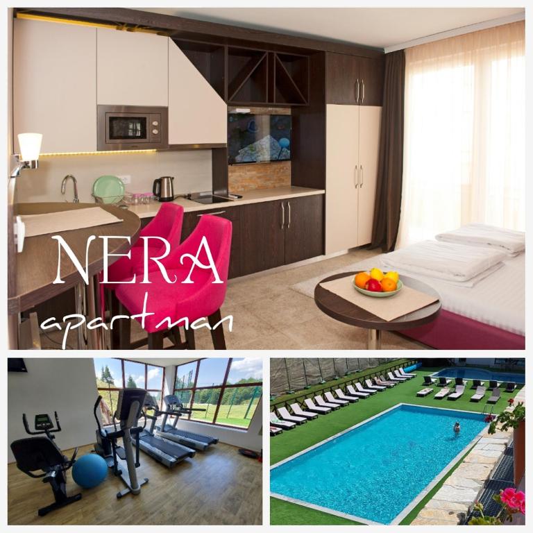Apartman NERA - u Kraljevim čardacima Kopaonik - B&B Kopaonik