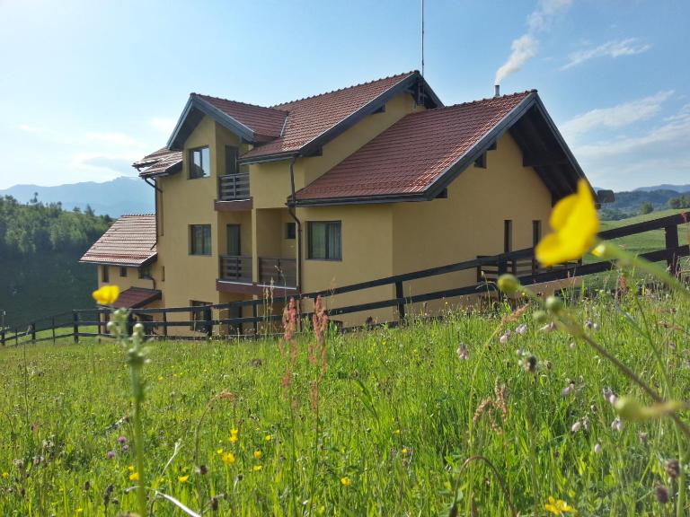 Pensiunea Crai Nou - B&B Șirnea