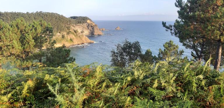 Silencio y tranquilidad - B&B Salamir
