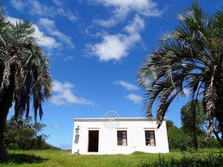 Chacra marítima cerca del Cabo - Chambres d'hôtes Rincón de los Olivera