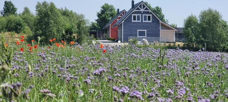 Ramlejowe Wzgórze - Sauna-Balia - Ferienwohnung Ostrzyce