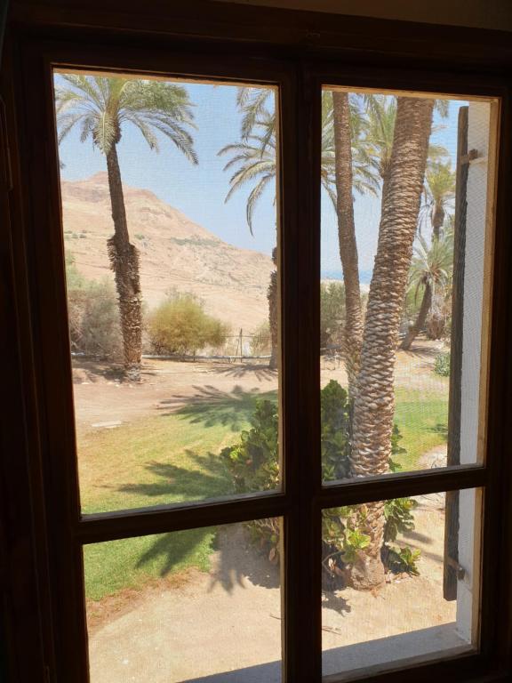 הצימר של יהושע - B&B ‘En Gedi