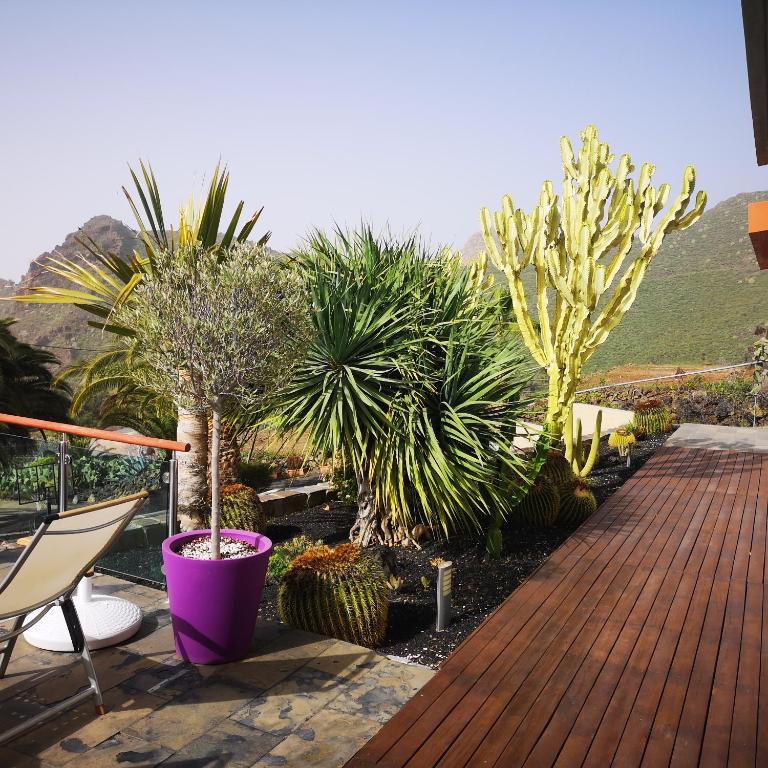 Casa rural con piscina en Santiago del Teide Wellness Las Viñas - B&B Santiago del Teide