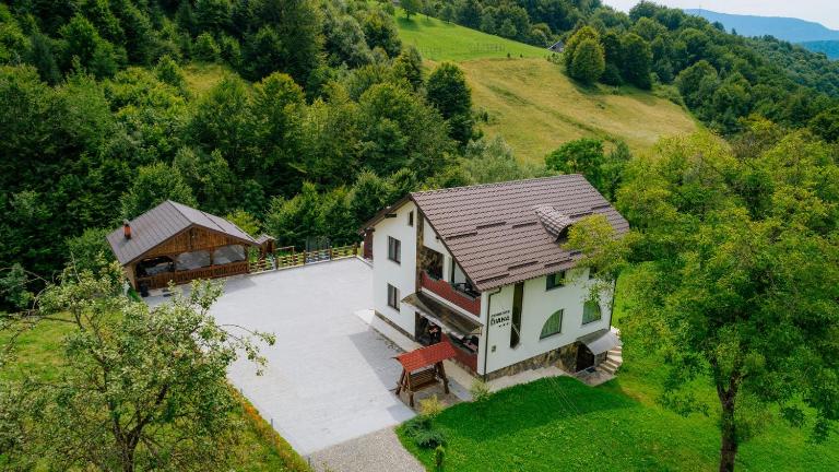 Pensiunea Diana - B&B Moisei