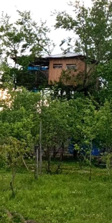 Eagle Nest - Bed and Breakfast Martvili