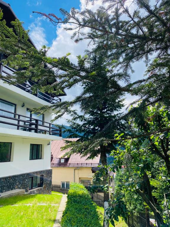 Pensiunea DEDU - B&B Buşteni