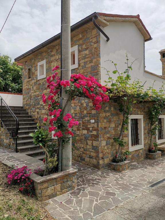 Kmetija Jogan, Wines & Apartments - Ferienwohnung Pobegi