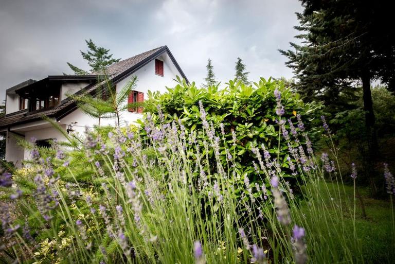 Le Conifere - B&B Pignola