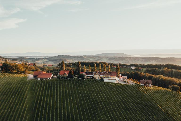 Weinquartier Pichler-Schober - Chambres d'hôtes Mitteregg