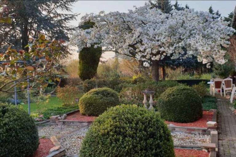 Chez maya - B&B Erquinghem-Lys