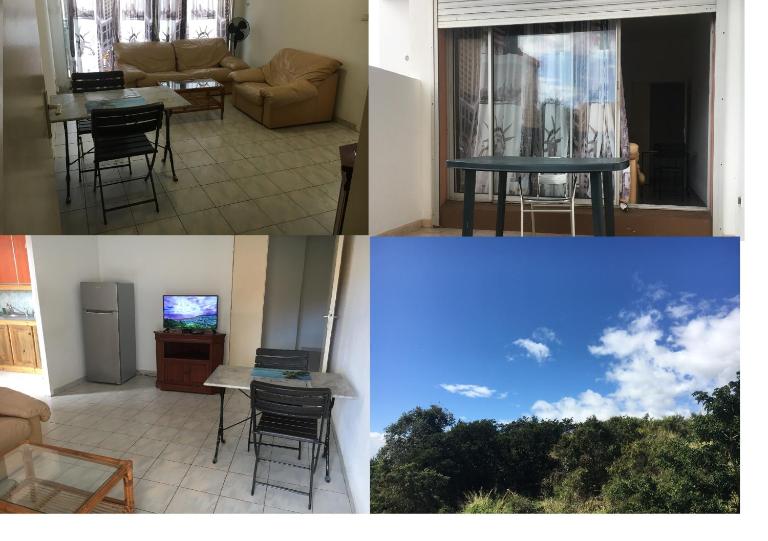 53 boulevard notre dame de la trinité T2 rdc terrasses jardinet 56m2 - B&B Saint-Denis
