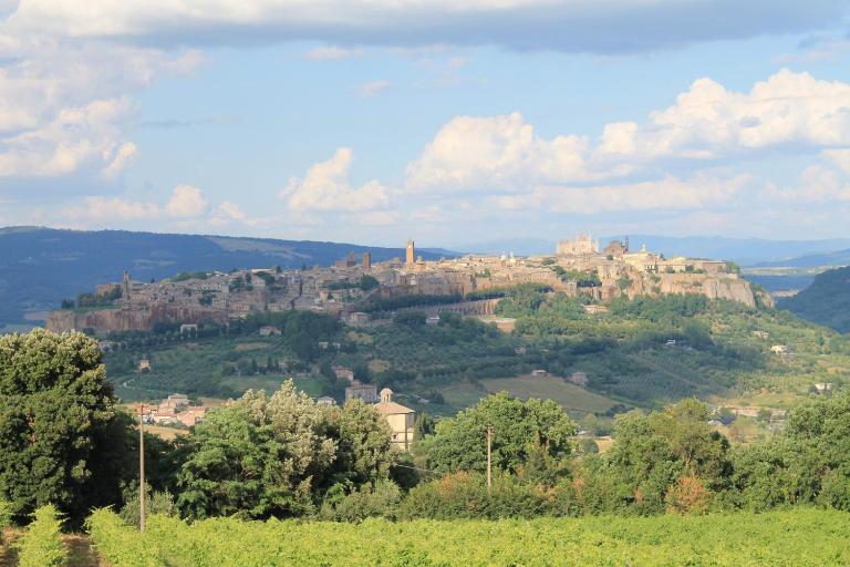 Agriturismo Borgo Pirolino - B&B Orvieto