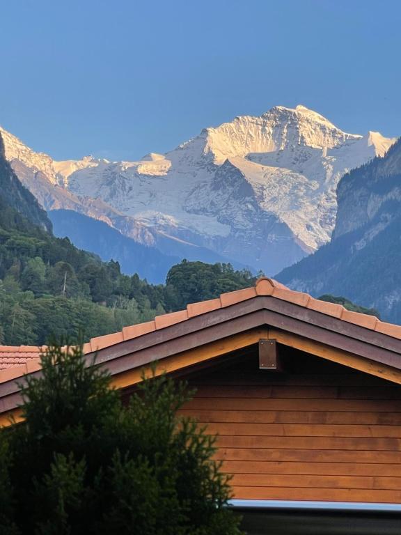 S&P Mountain View Apartment 2 - B&B Wilderswil