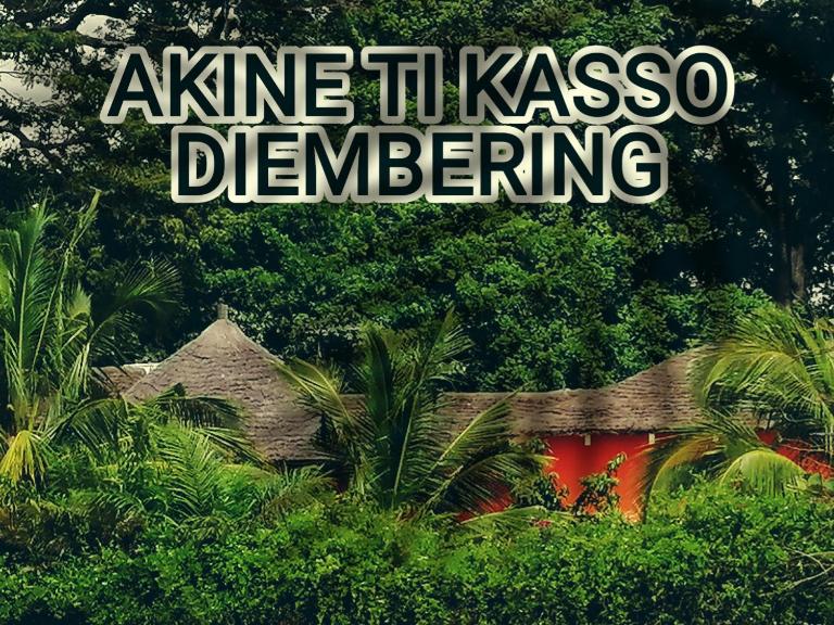 AKINE TI KASSO piscine - B&B Diembéreng