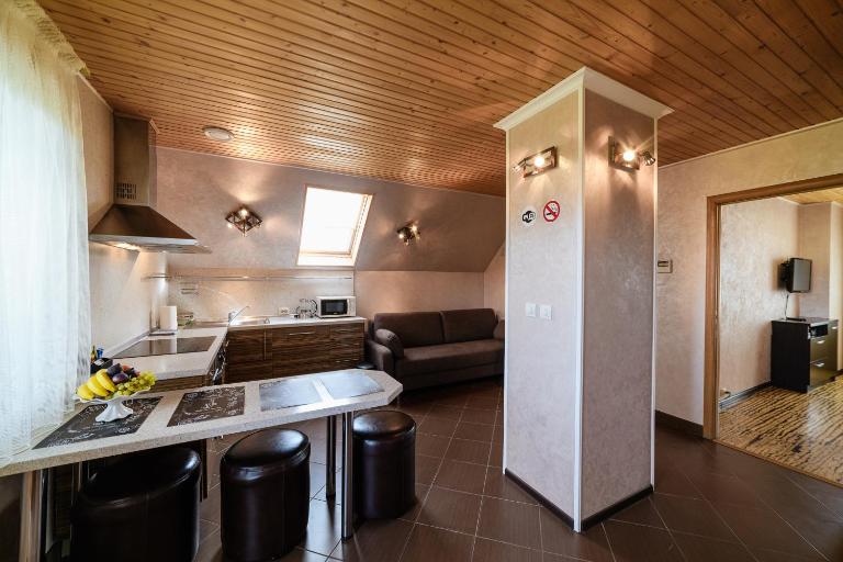 Apartment Sweethome FREE PARKING Mountain View - Ferienwohnung Uschhorod