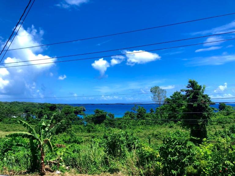 TOGA GUEST HOUSE - B&B Port Antonio