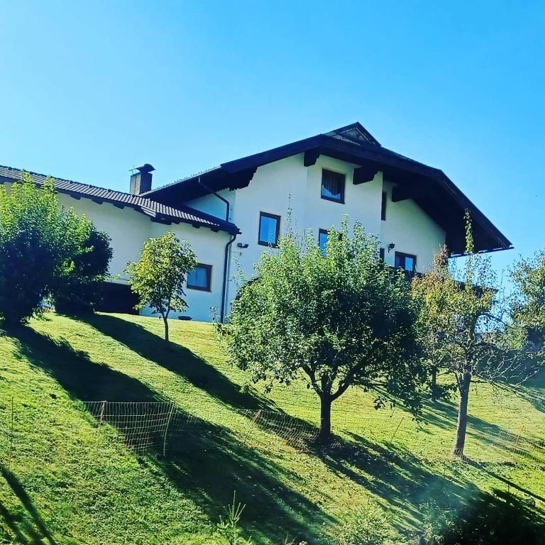 Ferienwohnung Schaller - B&B Feistritz an der Drau