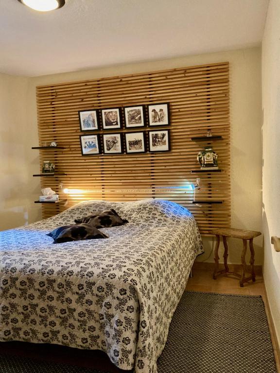 Charming Apartment in the heart of Valbonne Village - B&B Valbonne