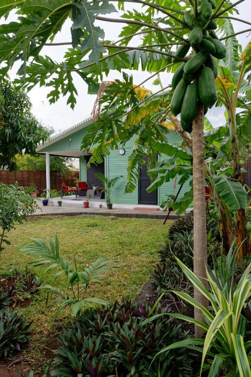 Gîte TI KAZ MORINGA, case créole cosy avec clim et jardin - B&B Saint-Louis