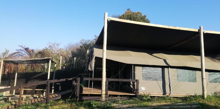 Chosen Glamping Tents - Bed and Breakfast Graskop