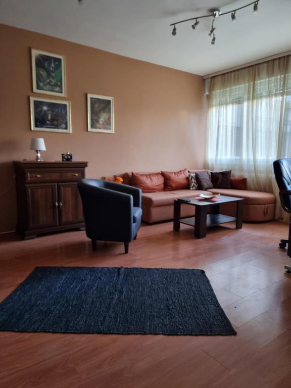 Large, Spacious Apartment Voždovac - B&B Belgrade
