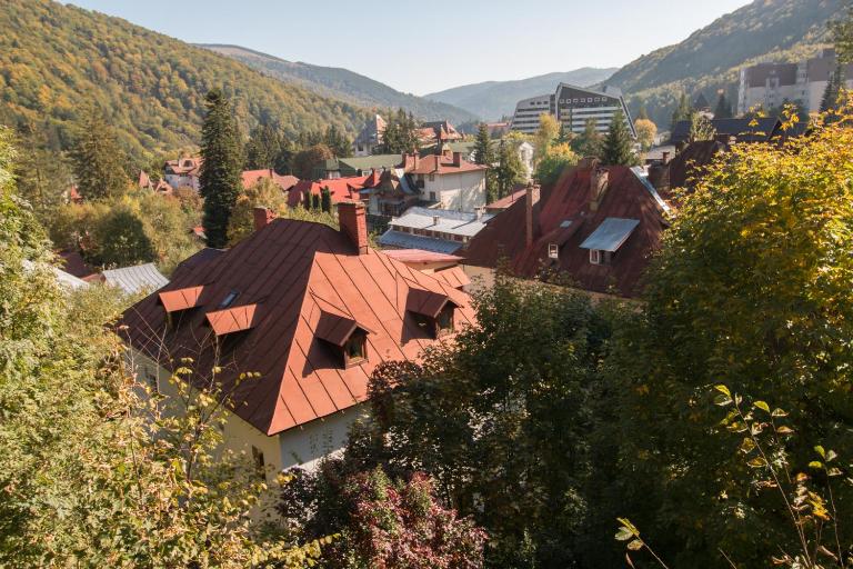 Rustic Regal - Ferienwohnung Sinaia