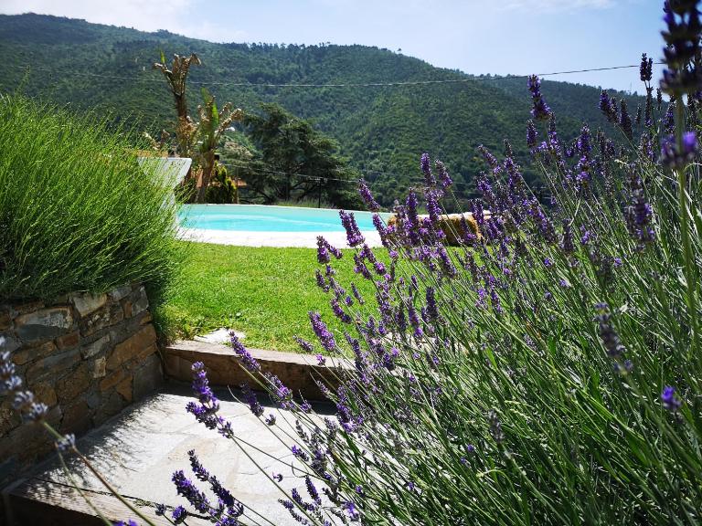 Agriturismo CÀ DÜ NONU - B&B Vallebona