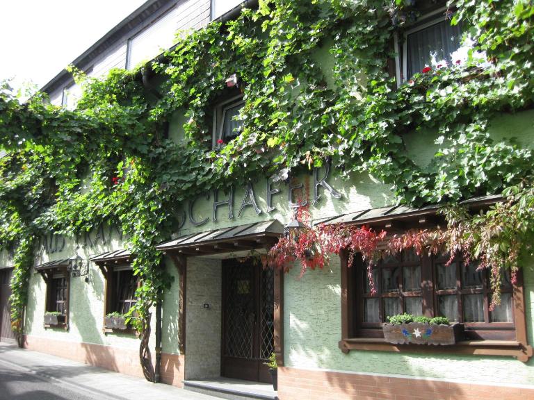 Weingut Franz Schäfer - Bed and Breakfast Bad Neuenahr-Ahrweiler