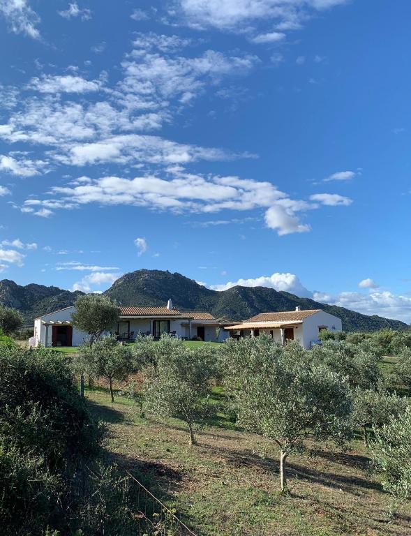 Macciuneddu Country Retreat - Ferienwohnung Golfo Aranci