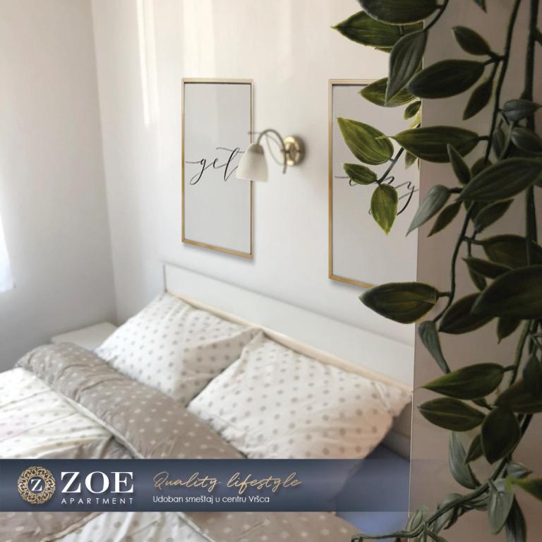 ZOE apartment - Bed and Breakfast Vršac