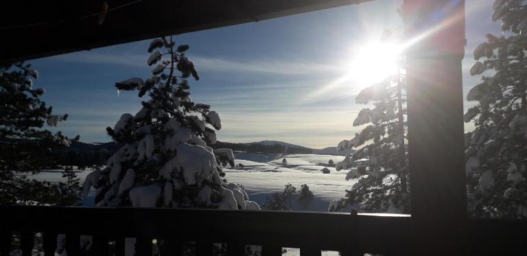 Apartman pogled Zlatibor - Bed and Breakfast Zlatibor