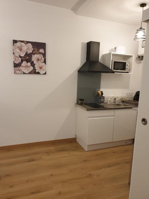 Studio Maillol centre historique Perpignan - B&B Perpignano