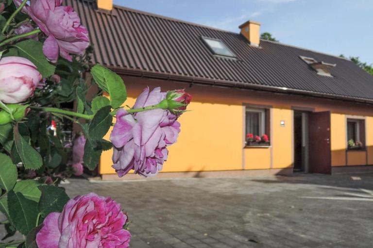 Holiday home in Stepniczka - B&B Stepnica