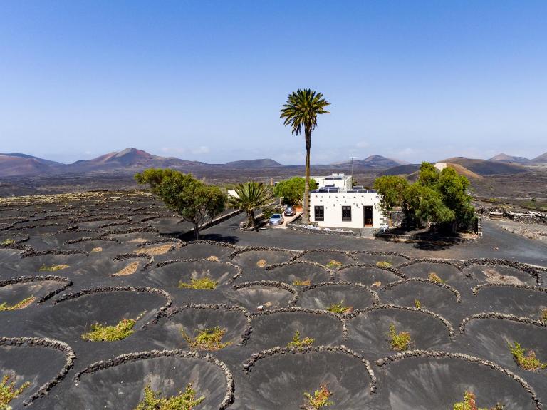 Petit La Geria Lanzarote - B&B Tías