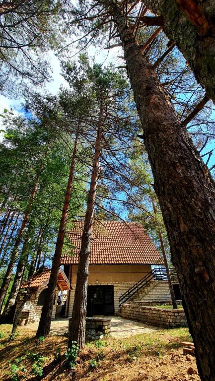 PLANINSKA VILA SMIGIC - Chambres d'hôtes Divčibare