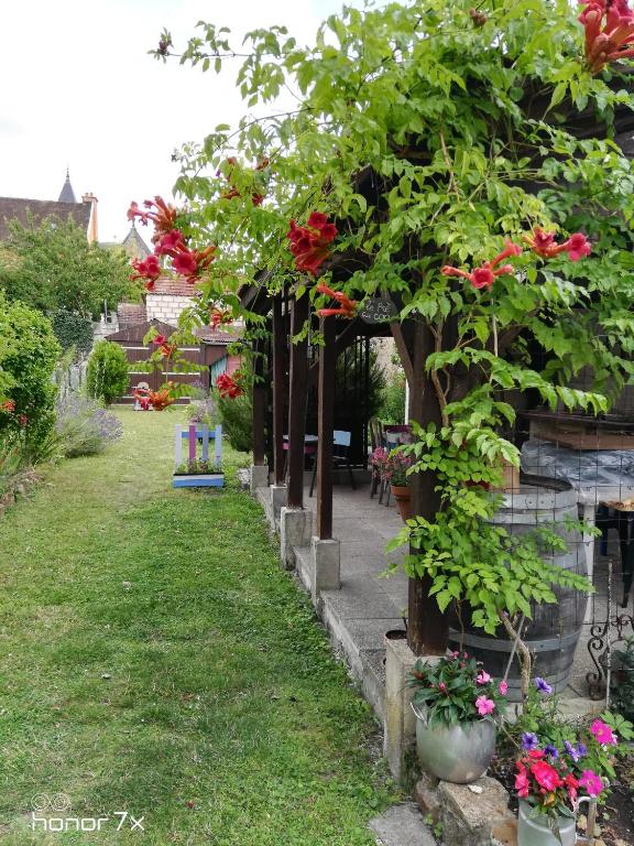 Le Coq en pâte - B&B Romilly-sur-Seine