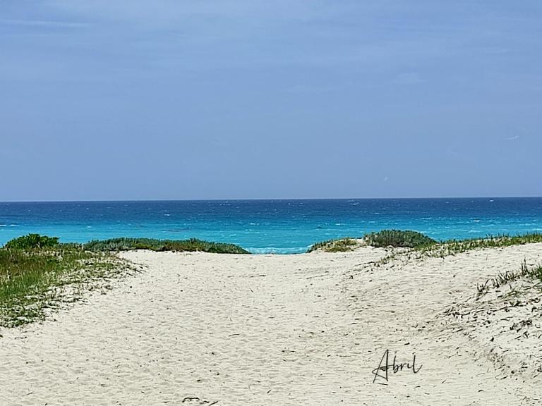 Tu Casa en el Caribe - Ferienwohnung Cancún