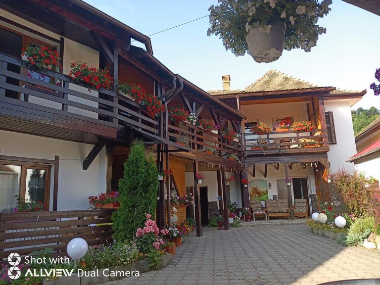 Pensiunea Liana - B&B Nemșa