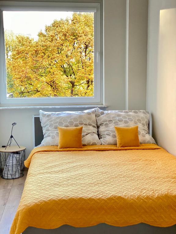Old Town Apartment - Gdańsk - B&B Gdansk