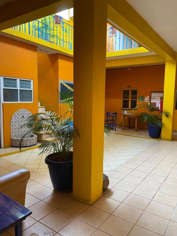 Hostal Zipolite Arteaga - B&B Oaxaca City