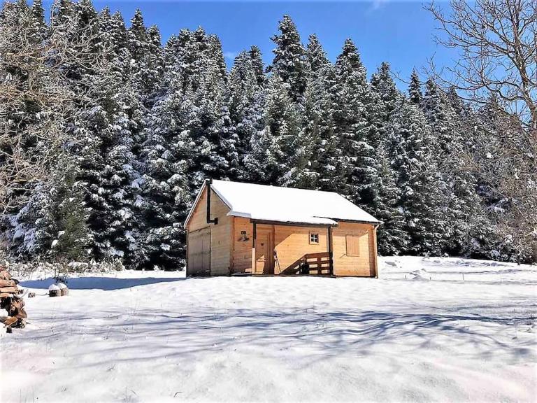 Wood Cabins by the River - for Nature Lovers - B&B Vytína