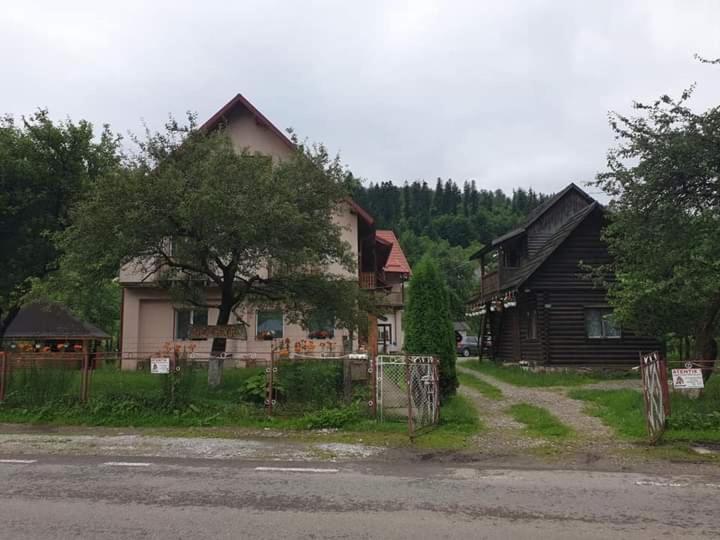 Villa Ileana - B&B Ceahlău
