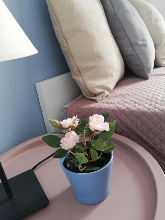 The Rose Apartment - Chambres d'hôtes Volos