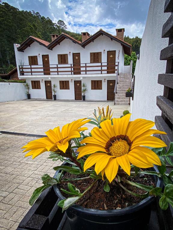 Recanto Bella Fonte - B&B Monte Verde