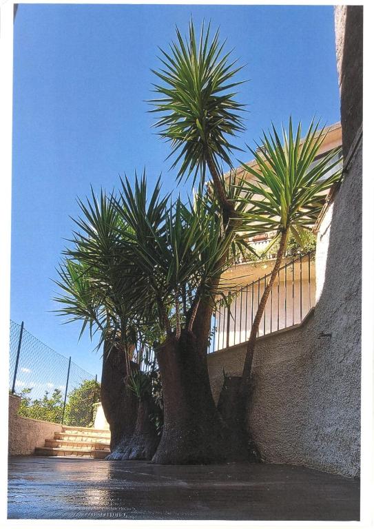 Il Tronchetto - Bed and Breakfast Montelibretti