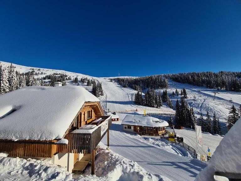 Almhütte Lachtal - Ferienwohnung Lachtal